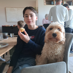 Profielfoto van Thom op Oppasland